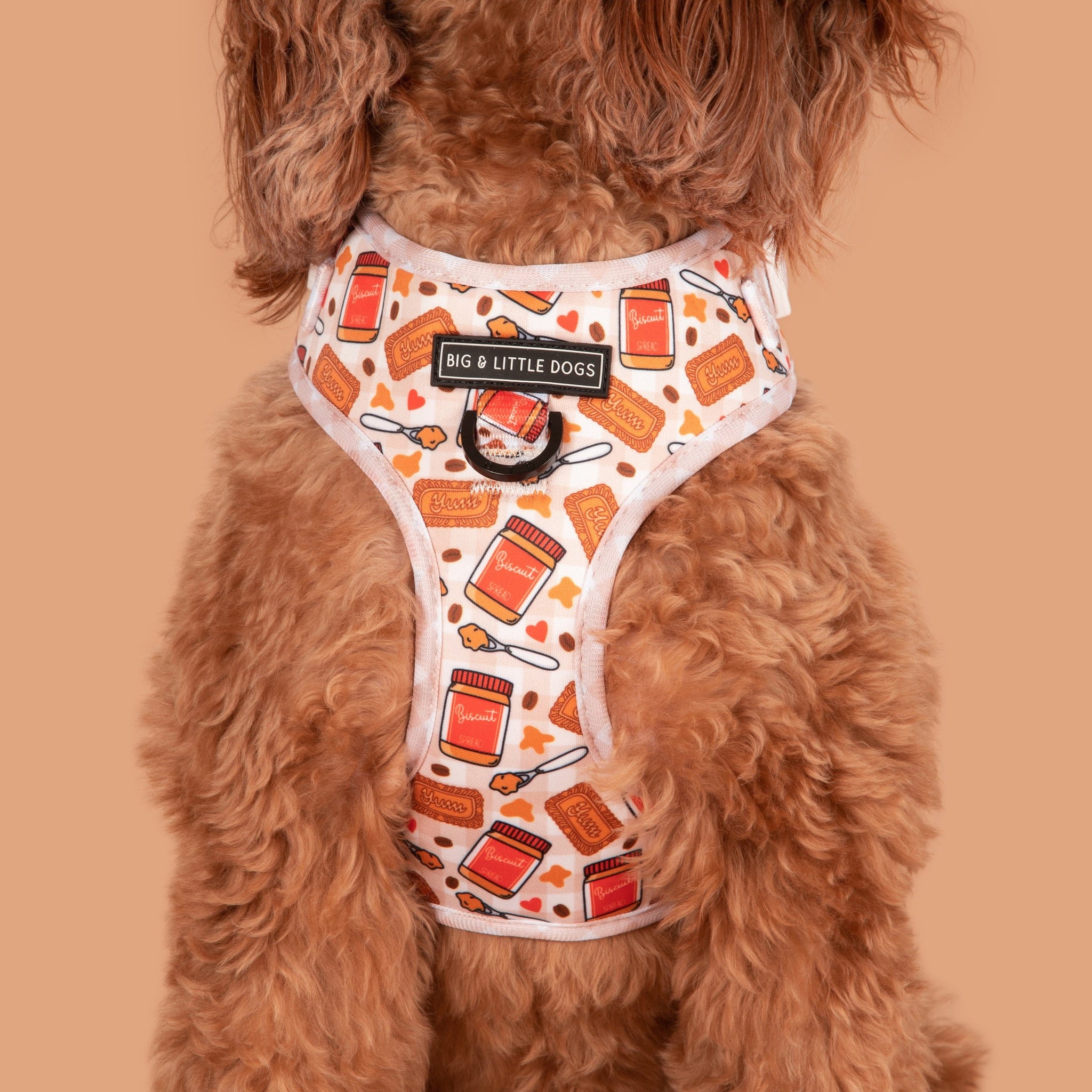 Adjustable Dog Harness Front D-Ring: Biscuit Latte Brown Biscoff Spread Nutty Caramel Lotus