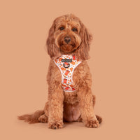 Adjustable Dog Harness Front D-Ring: Biscuit Latte Brown Biscoff Spread Nutty Caramel Lotus