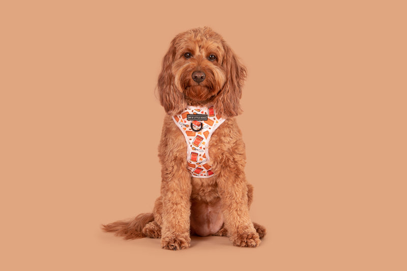Adjustable Dog Harness Front D-Ring: Biscuit Latte Brown Biscoff Spread Nutty Caramel Lotus