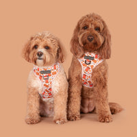 Adjustable Dog Harness Front D-Ring: Biscuit Latte Brown Biscoff Spread Nutty Caramel Lotus