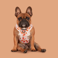 Adjustable Dog Harness Front D-Ring: Biscuit Latte Brown Biscoff Spread Nutty Caramel Lotus