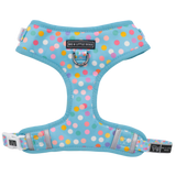 Adjustable Dog Harness Blue Confetti Birthday