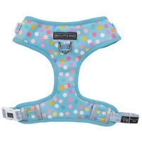 Adjustable Dog Harness Blue Confetti Birthday