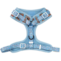 ADJUSTABLE DOG HARNESS: Blue Fairy Bread