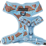 BIRTHDAY EXTRAVAGANZA BOX: "Blue Fairy Bread" Harness & Collar