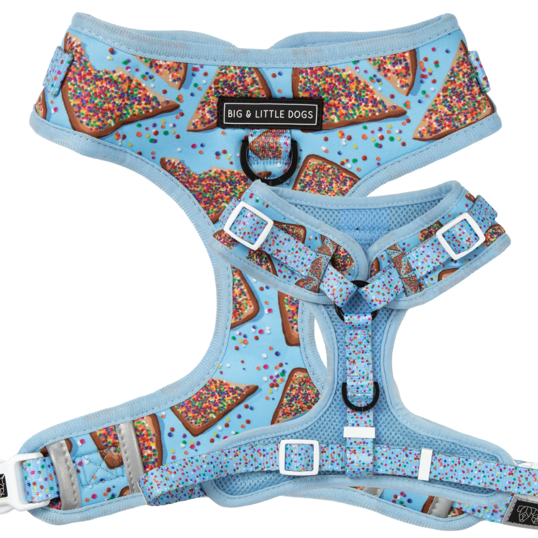 BIRTHDAY EXTRAVAGANZA BOX: "Blue Fairy Bread" Harness & Collar