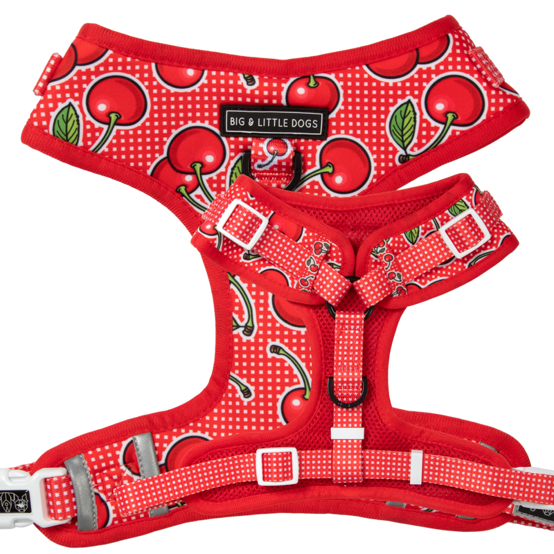 Fully adjustable dog clearance harness