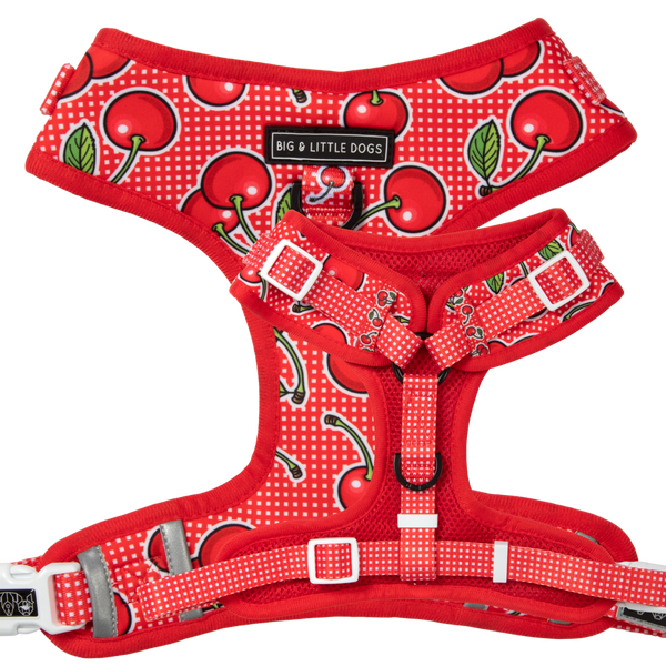 Big little dogs harness sale