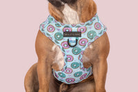 Adjustable Dog Harness Donut Kill My Vibe Blue Version