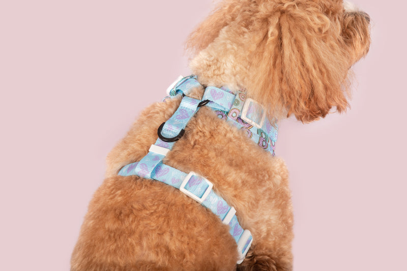 Adjustable Dog Harness Donut Kill My Vibe Blue Version