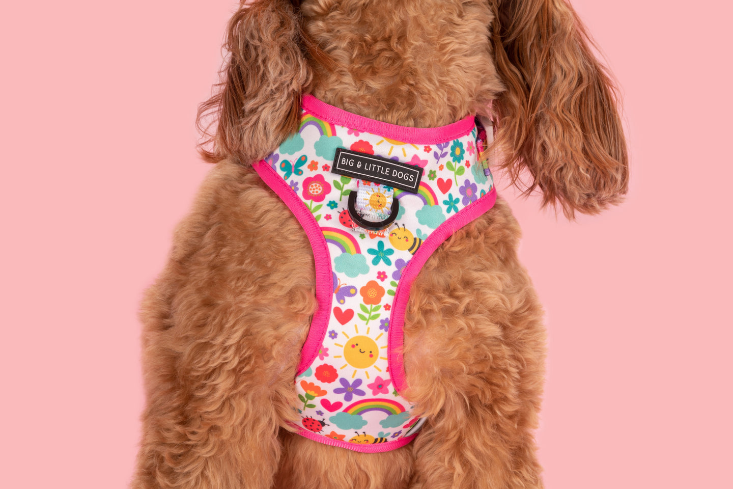 Adjustable Dog Harness Front D-Ring Follow The Rainbow Rainbows Pink Sunshine Flowers Pastels Colourful Girl