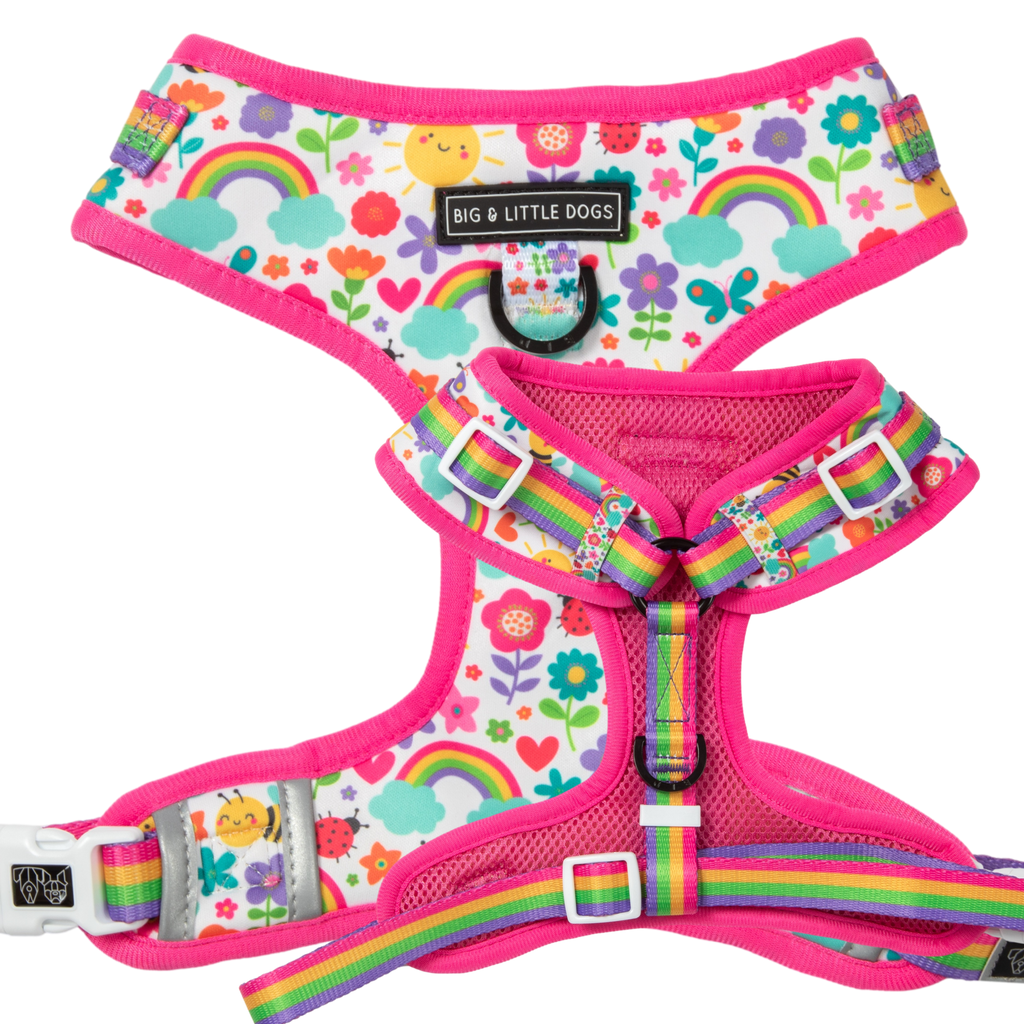 Big and hot sale little dogs harnesses