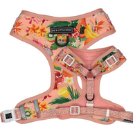 Adjustable Dog Harness Fruit Salad