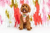 Adjustable Dog Harness Fruit Salad