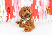 Adjustable Dog Harness Fruit Salad