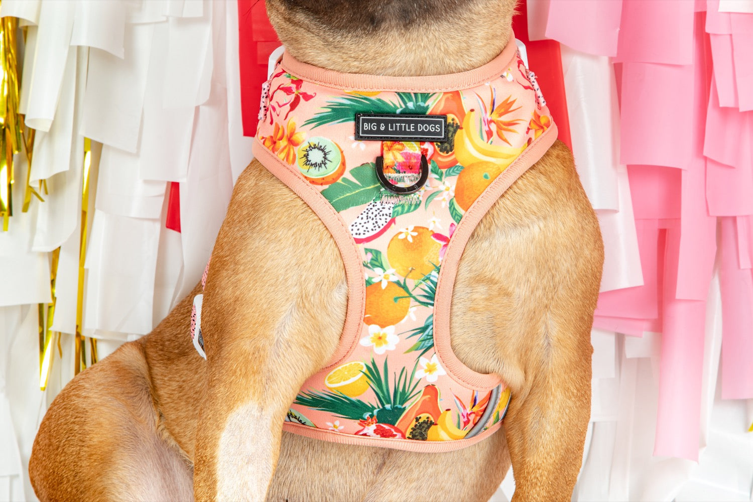 Adjustable Dog Harness Fruit Salad