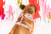 Adjustable Dog Harness Fruit Salad