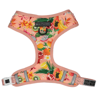 Adjustable Dog Harness Fruit Salad