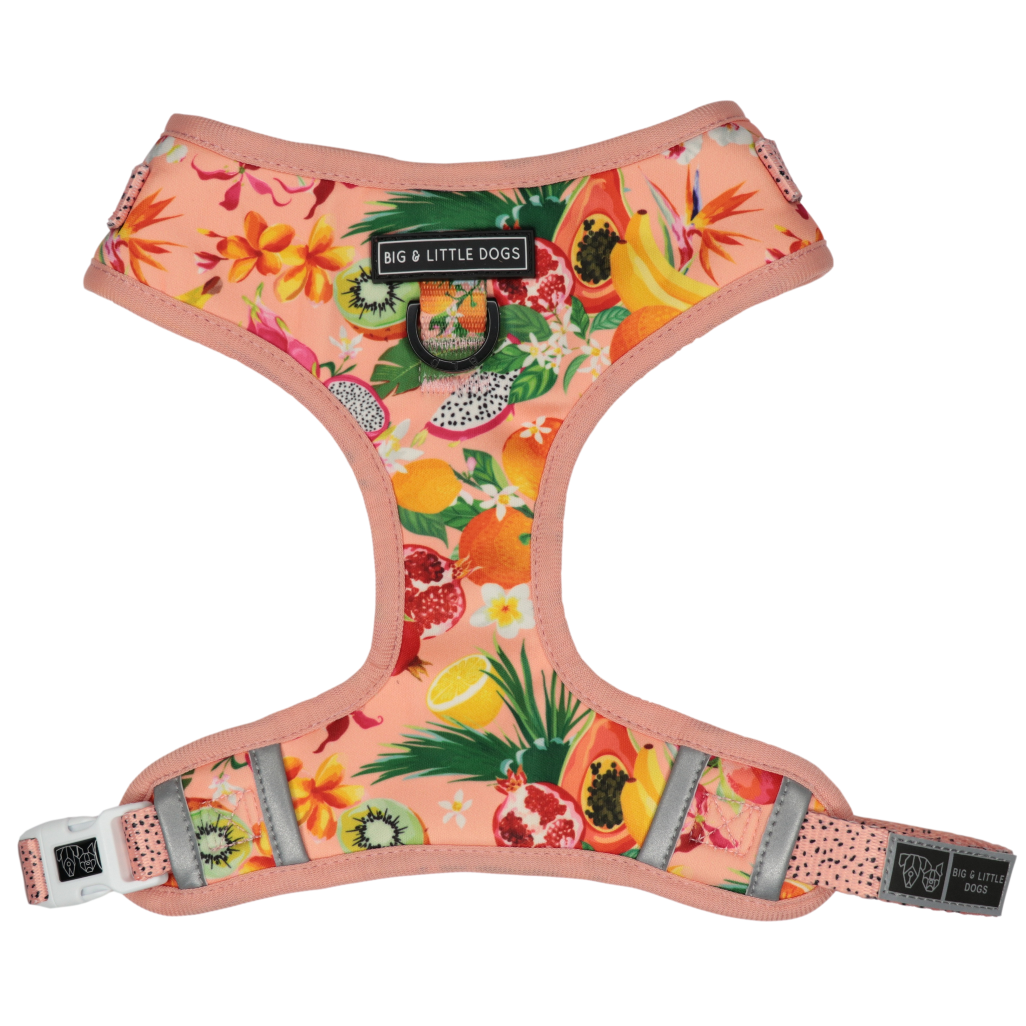Adjustable Dog Harness Fruit Salad