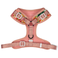 Adjustable Dog Harness Fruit Salad