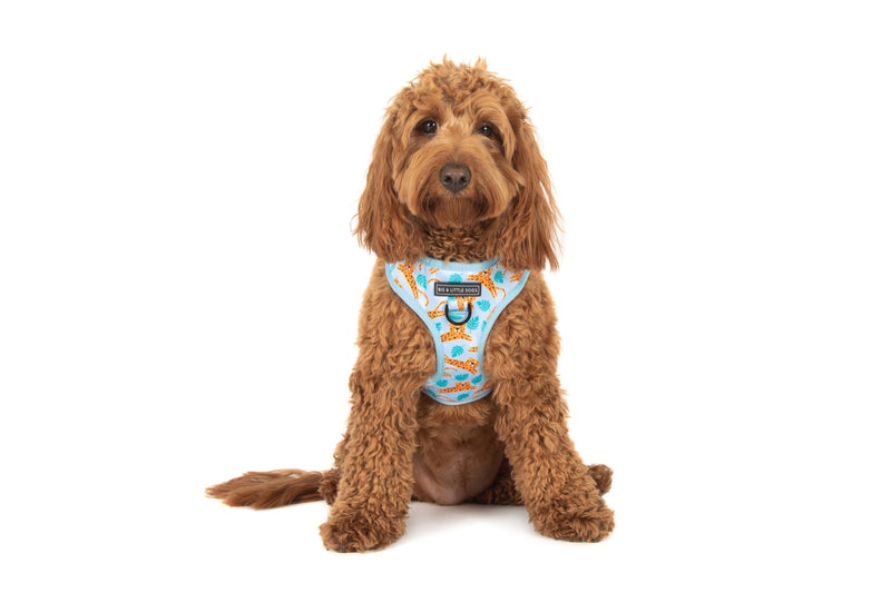 Adjustable Dog Harness Go Get Em Tiger
