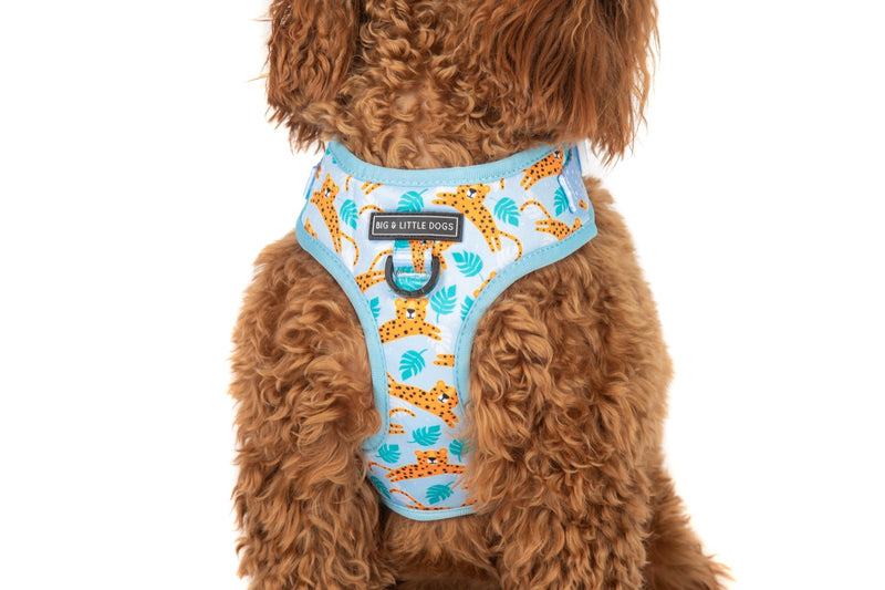 Adjustable Dog Harness Go Get Em Tiger