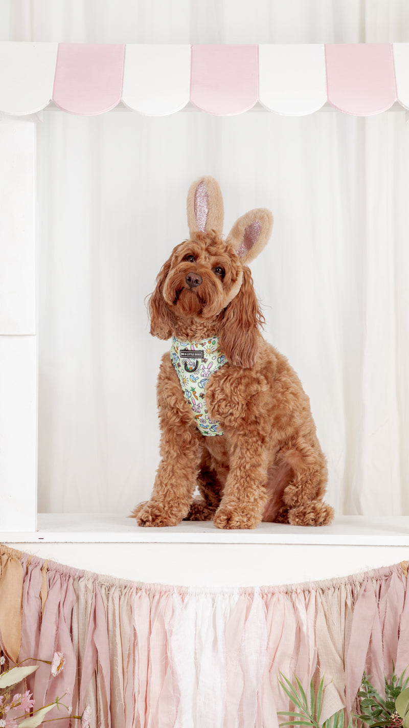 Adjustable Dog Harness with front d-ring Hey There Hop Stuff Easter Bunny Garden Carrot Eggs
