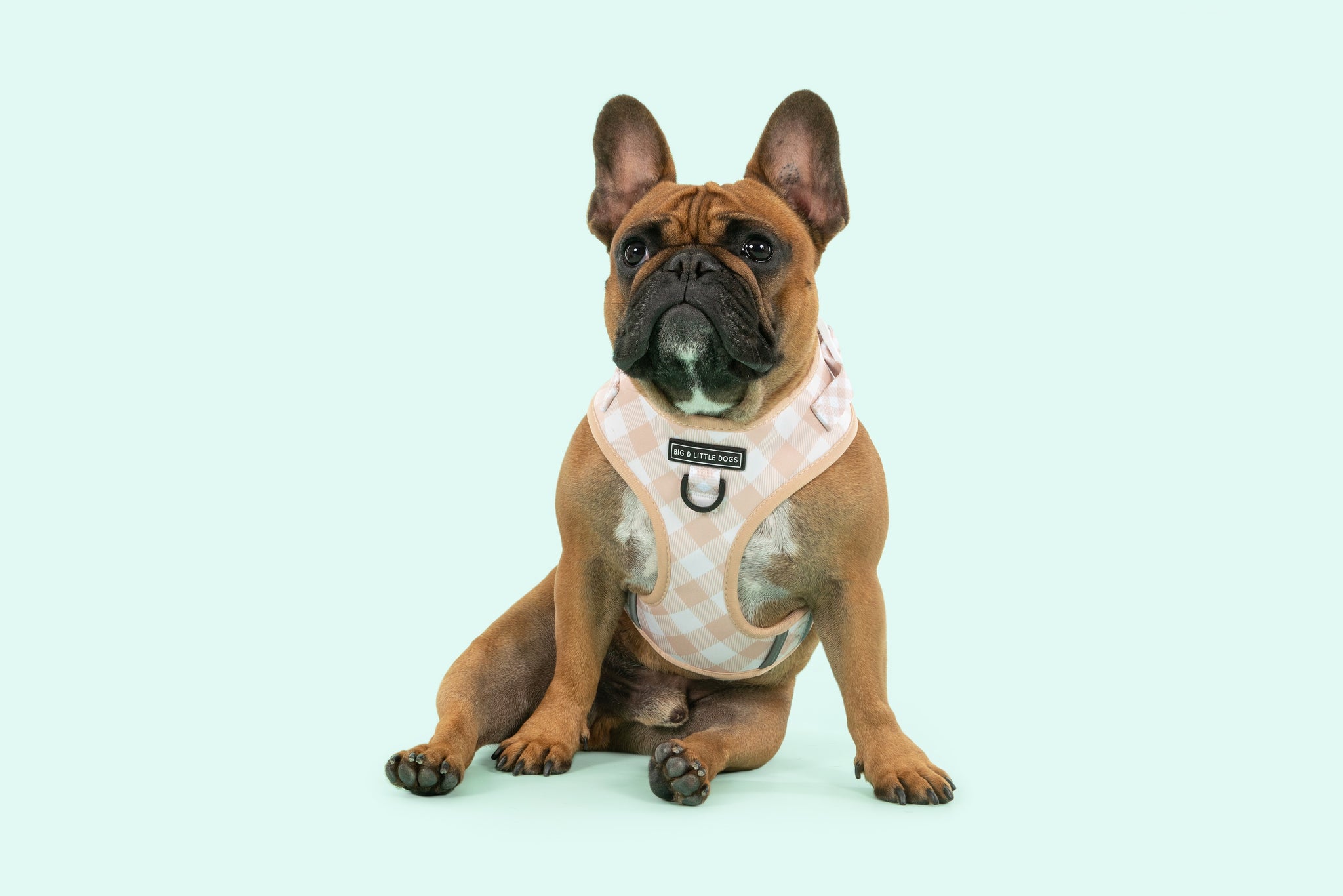 Adjustable Dog Harness Latte Coffee Brown Gingham