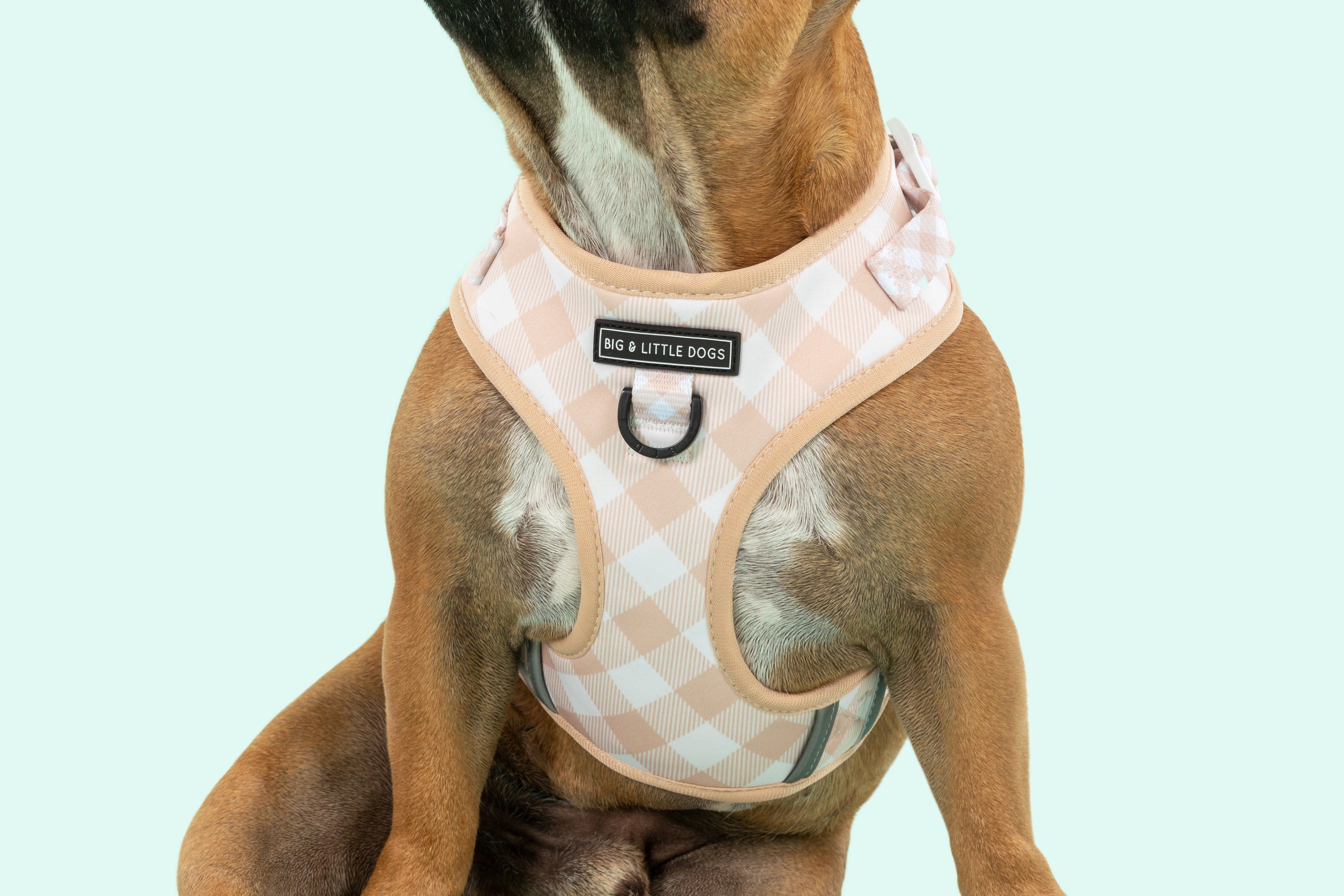 Puppia adjustable harness best sale