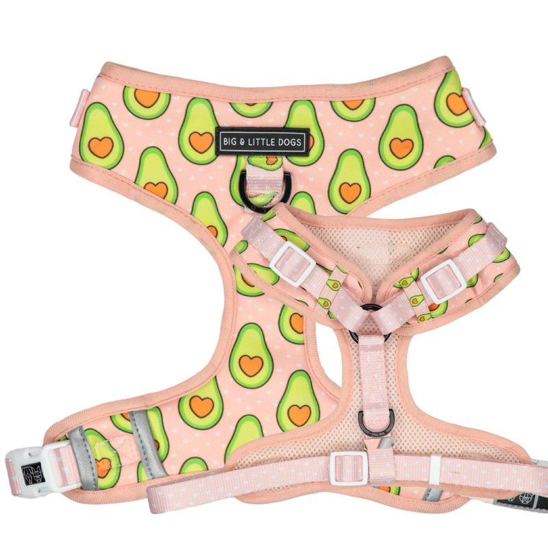 Adjustable Dog Harness Let&