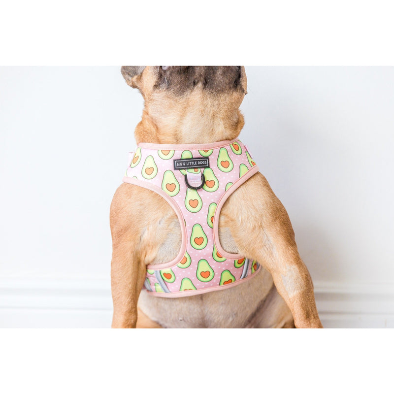Adjustable Dog Harness Let&