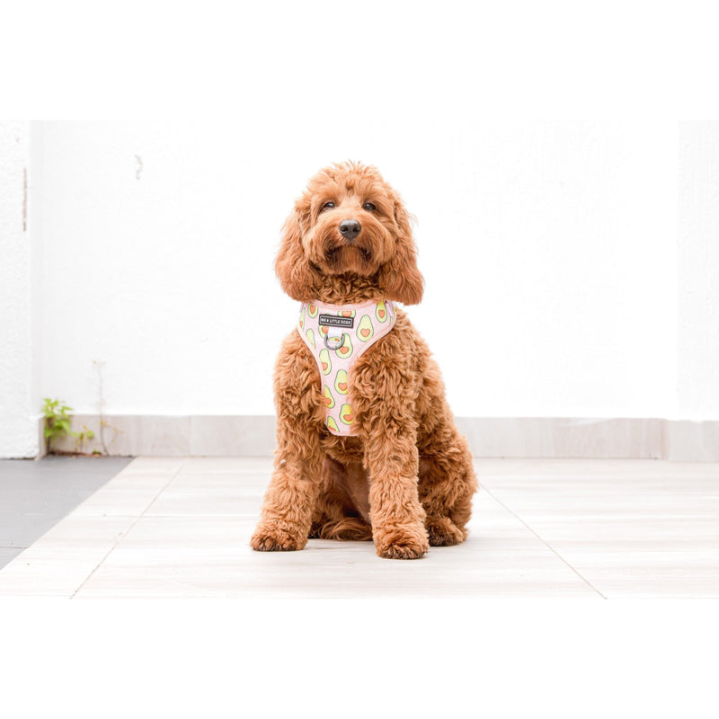 Adjustable Dog Harness Let&