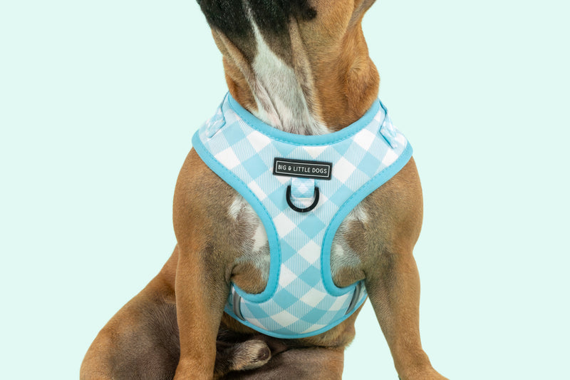Adjustable Dog Harness Mint Blue Green Teal Gingham