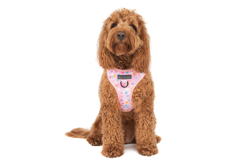 Adjustable Dog Harness Pink Confetti Birthday