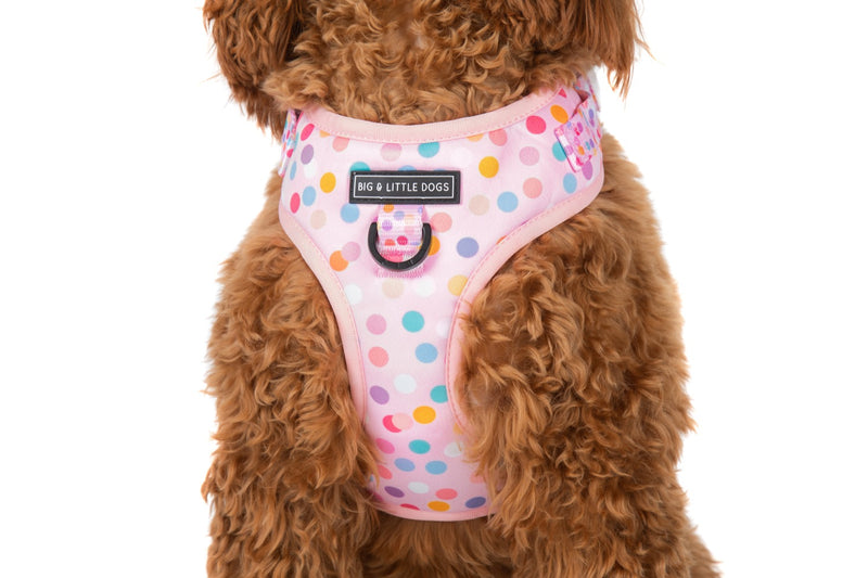Adjustable Dog Harness Pink Confetti Birthday