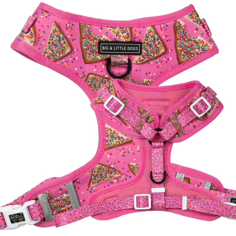 BIRTHDAY EXTRAVAGANZA BOX: "Pink Fairy Bread" Harness & Collar