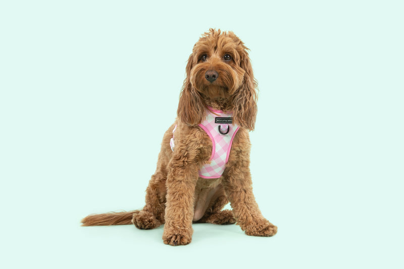 Adjustable Dog Harness Pink Pretty Gingham