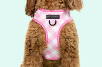 Adjustable Dog Harness Pink Pretty Gingham