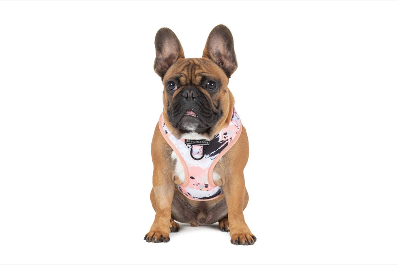 Adjustable Dog Harness Peach Splatter Terrazzo