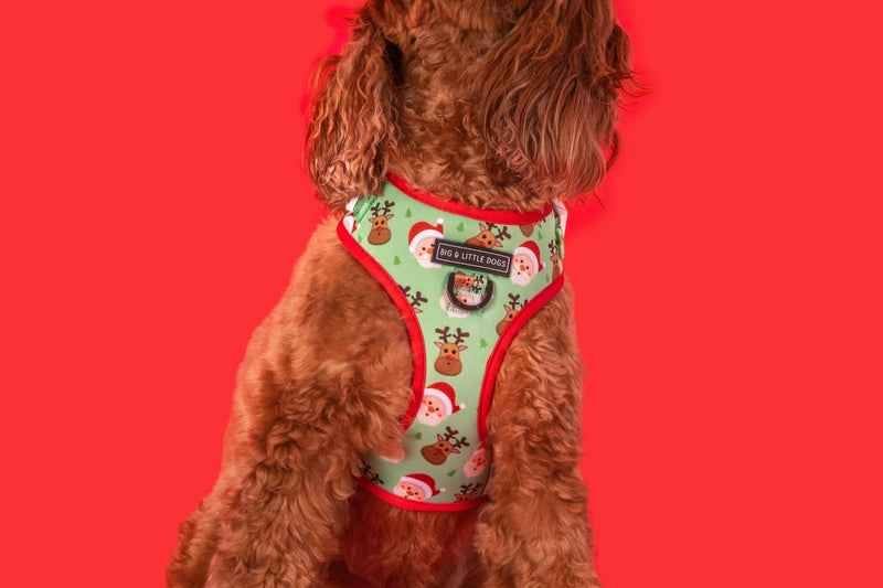 Adjustable Dog Harness Santa Paws Reindeer