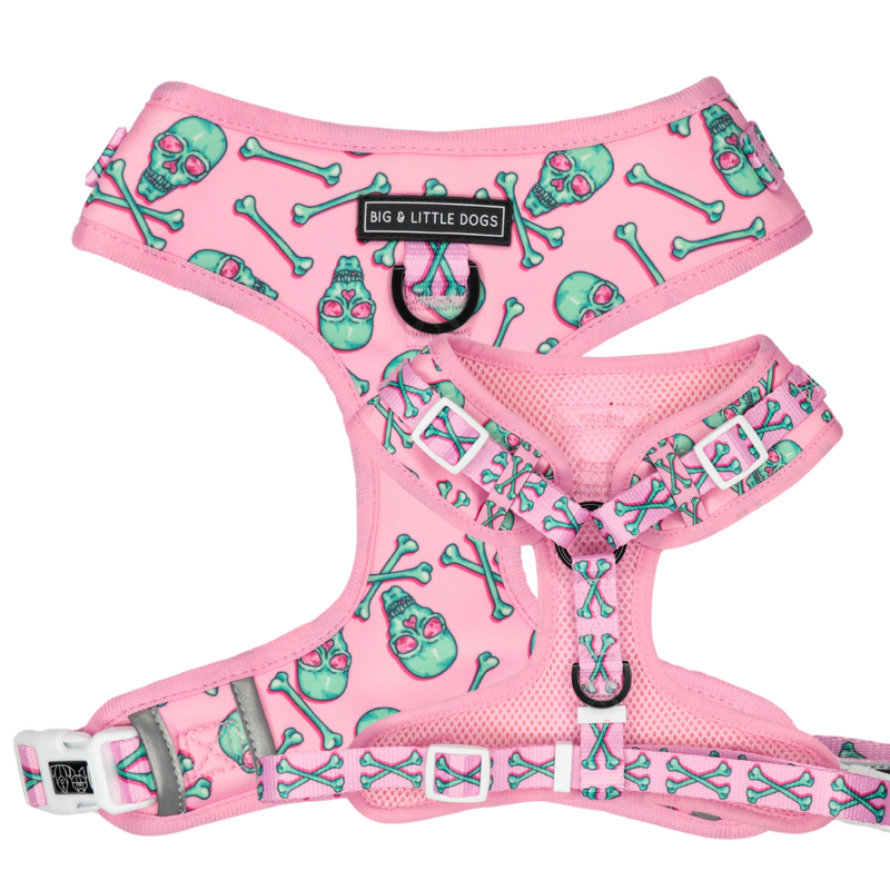Adjustable Dog Harness Skull and Cross Bones