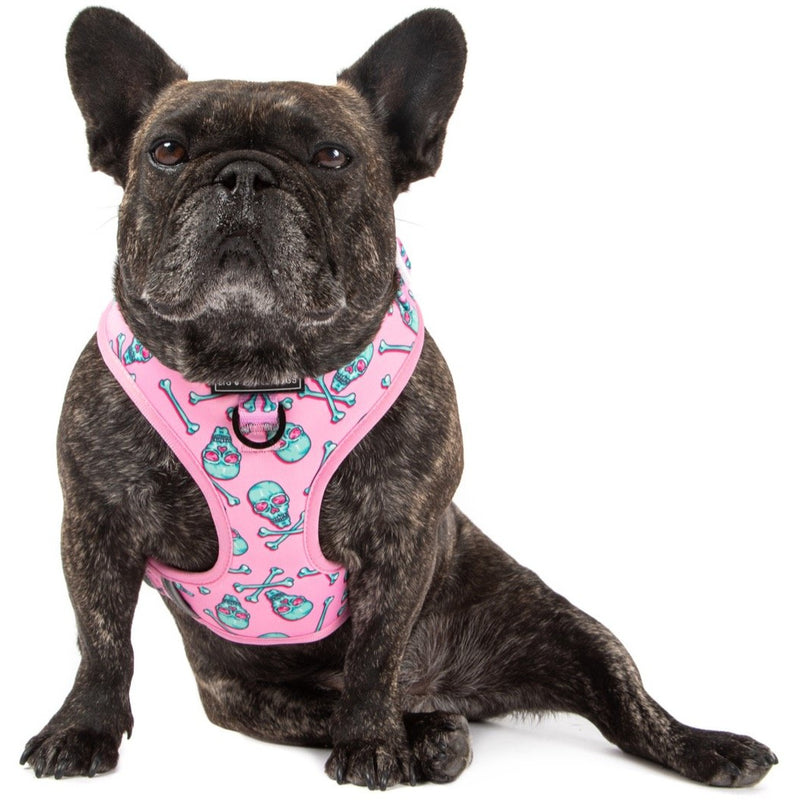 Adjustable Dog Harness Skull and Cross Bones