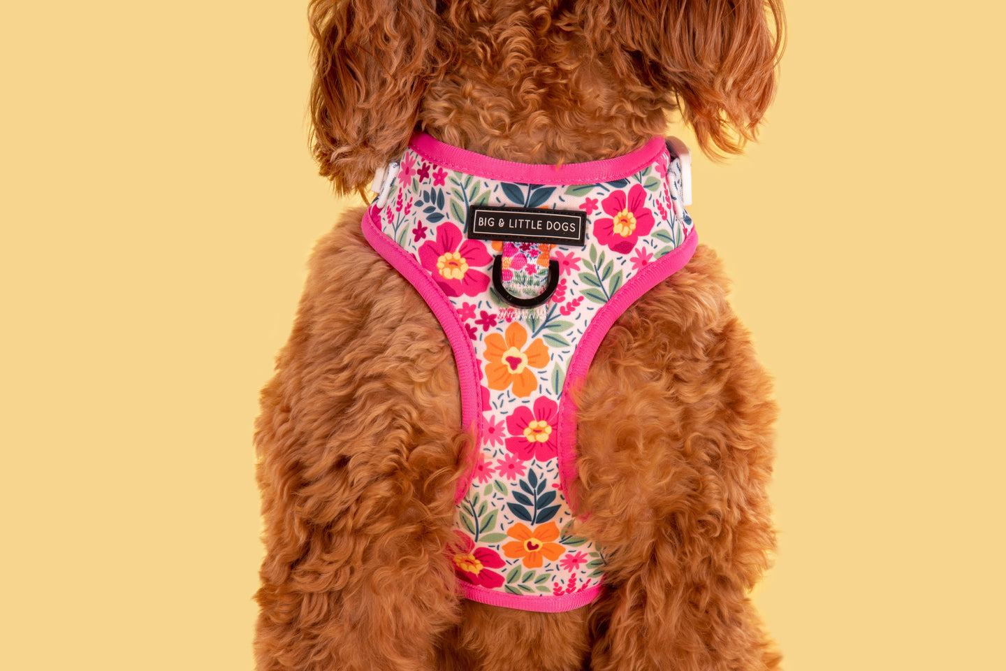 ADJUSTABLE DOG HARNESS: Sweet Blossoms {FINAL SALE}