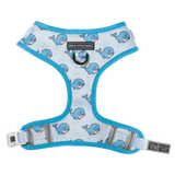 ADJUSTABLE DOG HARNESS: Whale, Hello There {FINAL SALE}