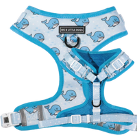 ADJUSTABLE DOG HARNESS: Whale, Hello There {FINAL SALE}