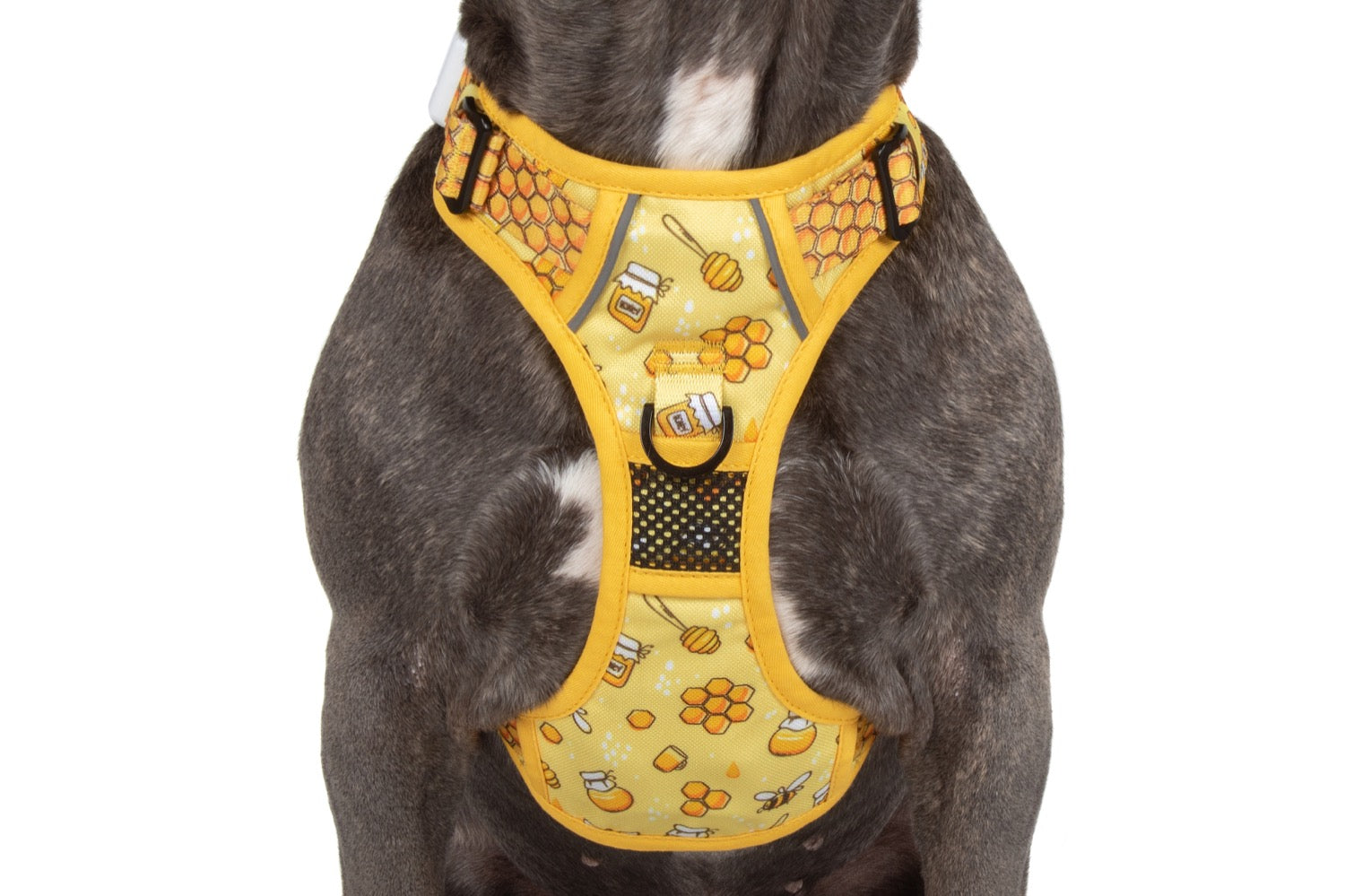 All Rounder Dog Harness Bee-Hiving Bees