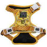 All Rounder Dog Harness Bee-Hiving Bees