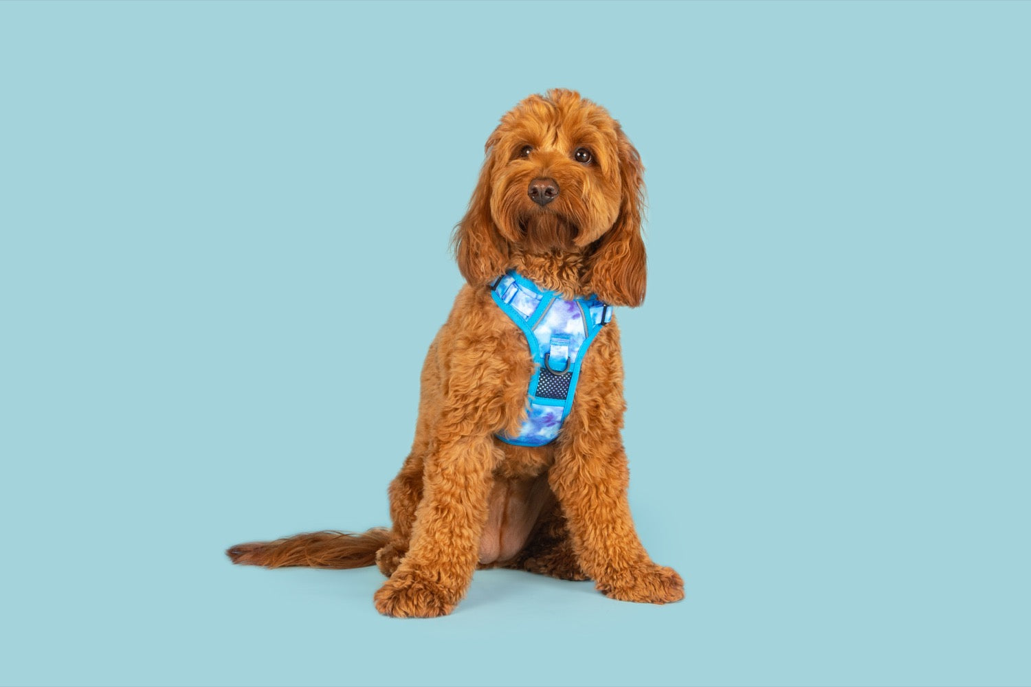 All Rounder Dog Harness Blue Me Away