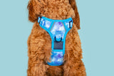 All Rounder Dog Harness Blue Me Away