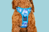 All Rounder Dog Harness Blue Me Away